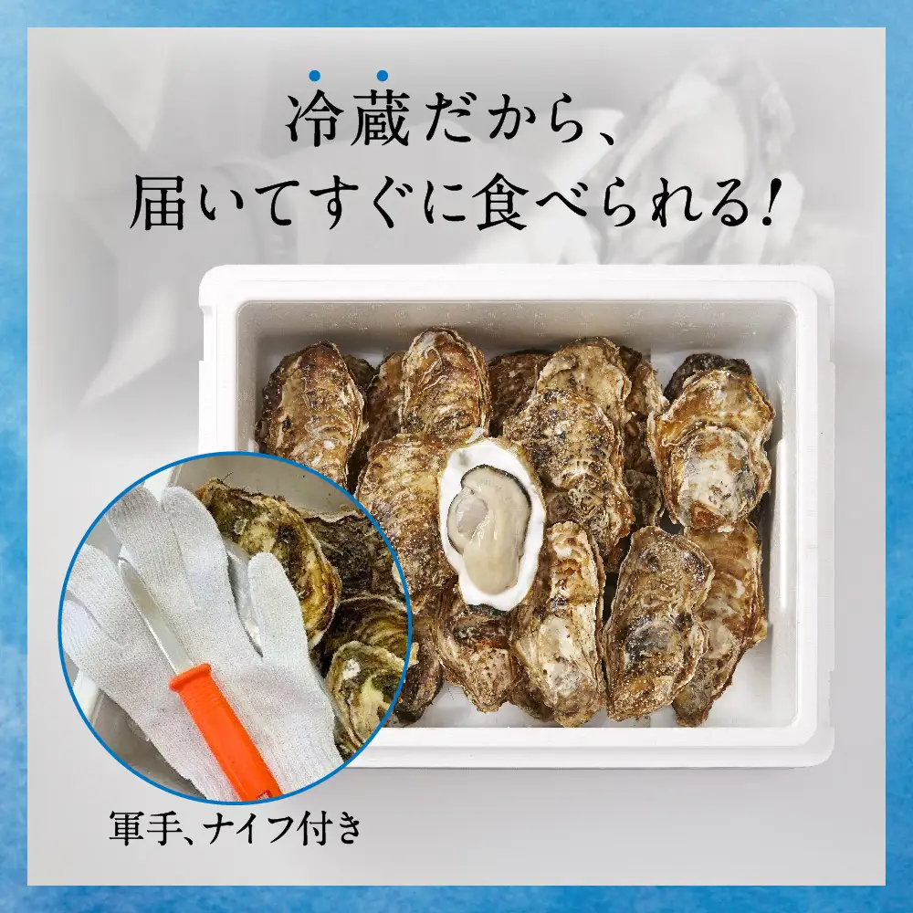 【先行予約】 訳あり 牡蠣 殻付き牡蠣 約3kg 【 三陸産 旬 産地直送 】