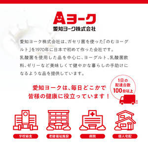 愛知ヨーク コアコアプラスヨーグルト 20個入（栄養機能性食品）[108A08]