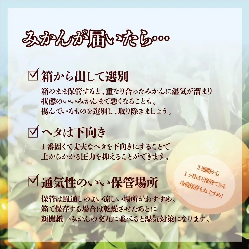 【訳あり】和歌山みかん約9.5kg+補償分約500g サイズ混合 11月より順次発送 訳ありみかん 【red1】