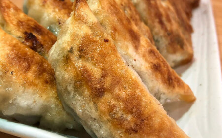 【10パック】餃子屋ヒロの がっつりにんにく餃子 ぎょうざ[BDAS004-4]