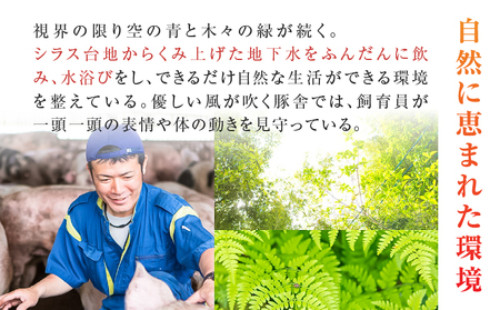 鹿児島うんまか 豚 生餃子 4パック（ 餃子 48個入り・ タレ付 ） K005-003_01 肉 豚肉 惣菜 総菜 冷凍