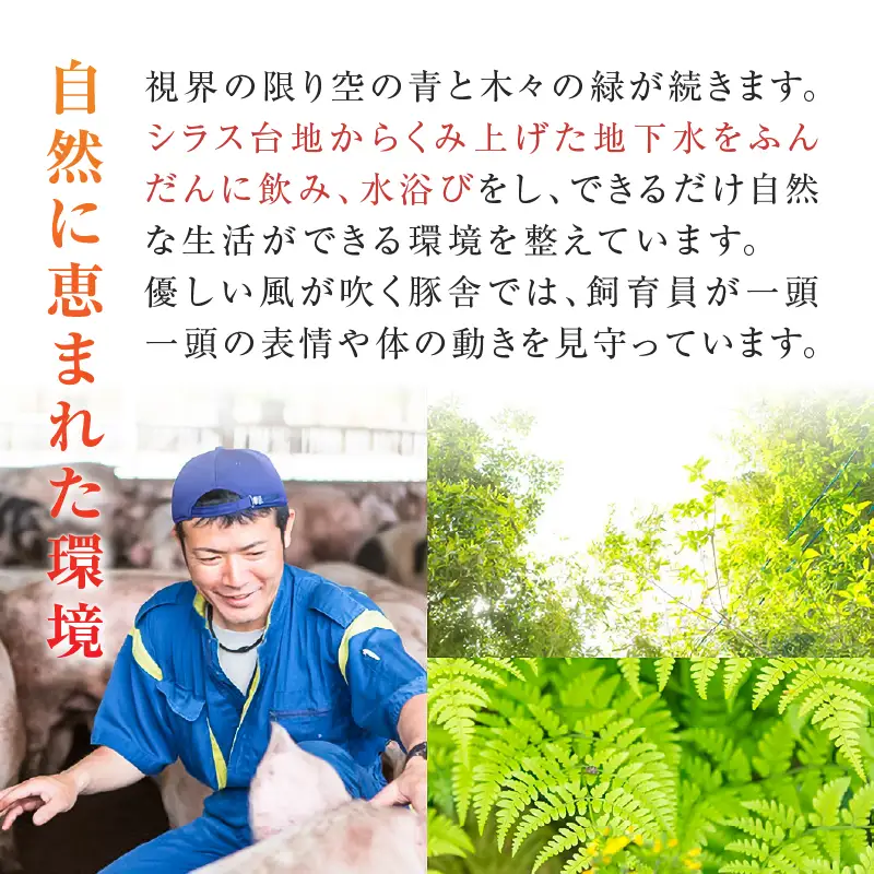 鹿児島うんまか 豚 生餃子 9パック（ 餃子 108個入り・ タレ付 ） K005-003_02 肉 豚肉 惣菜 総菜 冷凍