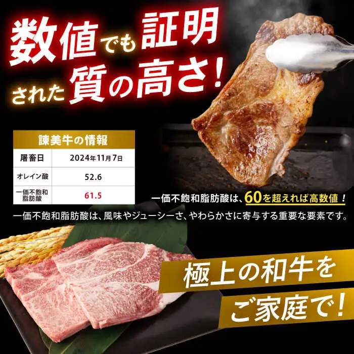 【特Aのブランド米で育てた】諫美牛 肩ロースステーキ 400g(200g×2) / 牛肉 ぎゅうにく 和牛 肉 焼肉 国産 ロース ろーす ステーキ すてーき / 諫早市 / 株式会社土井農場 [AHAD099]