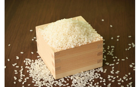 【限定35セット】令和4年産お米5kg 農薬不使用 栃木県産コシヒカリ 白米 おこめ 米 国産