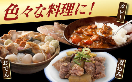 長崎和牛 生）牛すじ 400g×2P [DAR048]