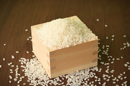 【限定15セット】【定期便3ヶ月】令和6年産お米5kg 農薬不使用 栃木県産コシヒカリ 白米 おこめ 米 国産