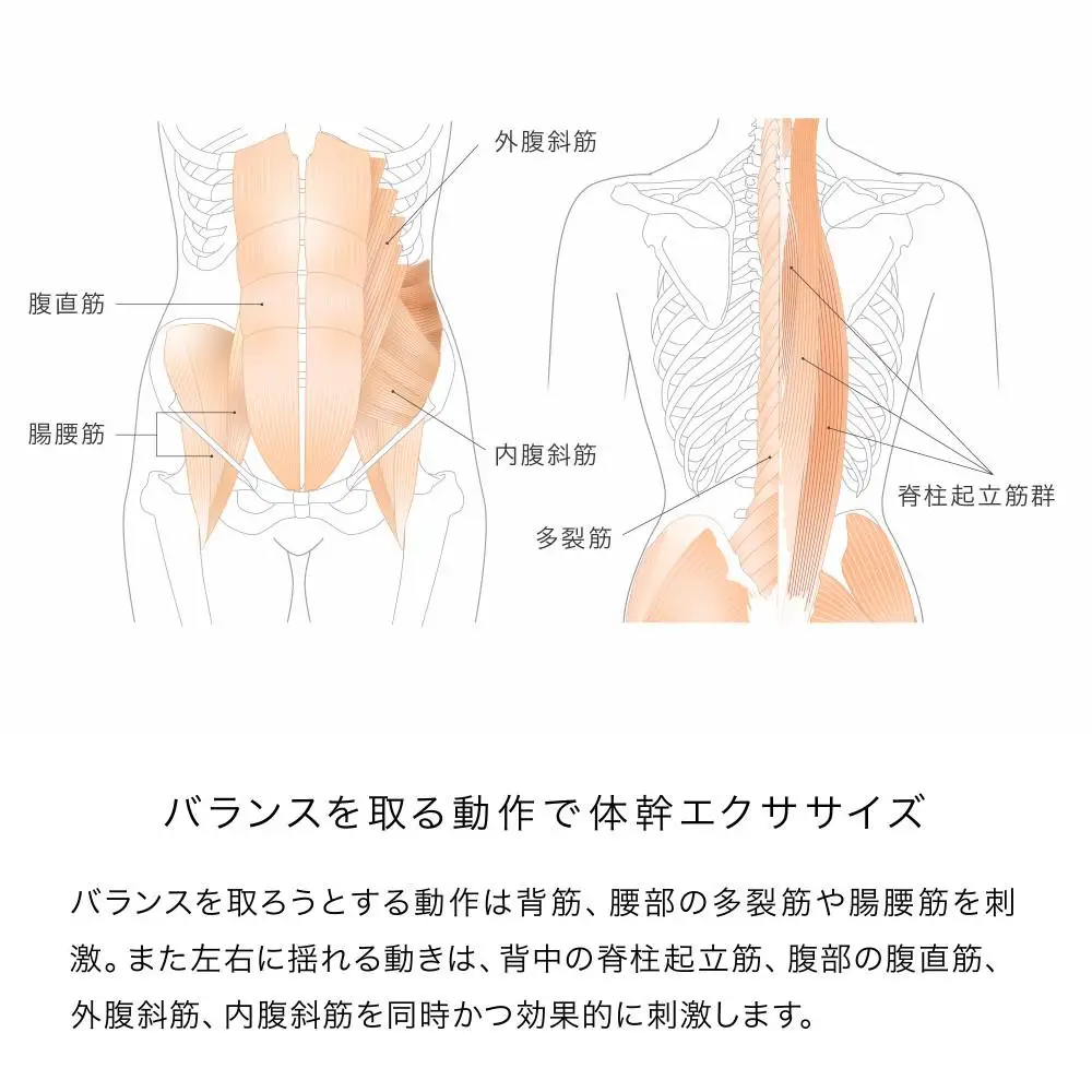   &MEDICAL MALLOW Knit【グレー】  体幹エクササイズ 腹筋 運動不足 デスクワーク ストレッチ