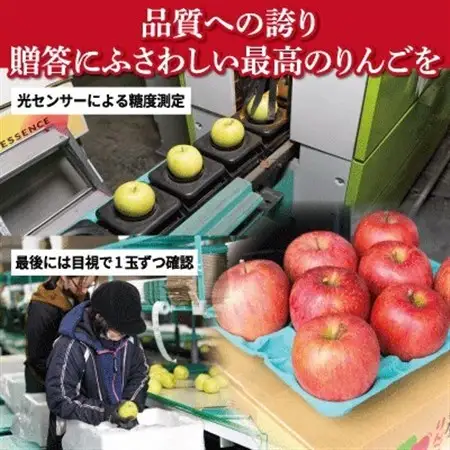 【11月～12月出荷予定】青森県産りんご サンふじ 約3kg 贈答用 平均糖度13度以上!_果物・フルーツ りんご  リンゴ 林檎_【配送不可地域：離島・沖縄県】【1612823】