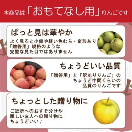 【27年1月出荷予定】平均糖度13度以上! ぐんま名月 約5kg おもてなし用_果物・フルーツ りんご  リンゴ 林檎_【配送不可地域：離島・沖縄県】【1612891】