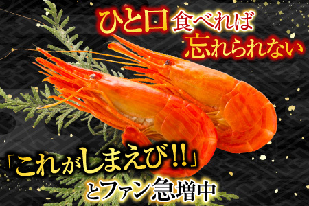 根室海鮮市場＜直送＞北海しまえび500g×1P B-28127