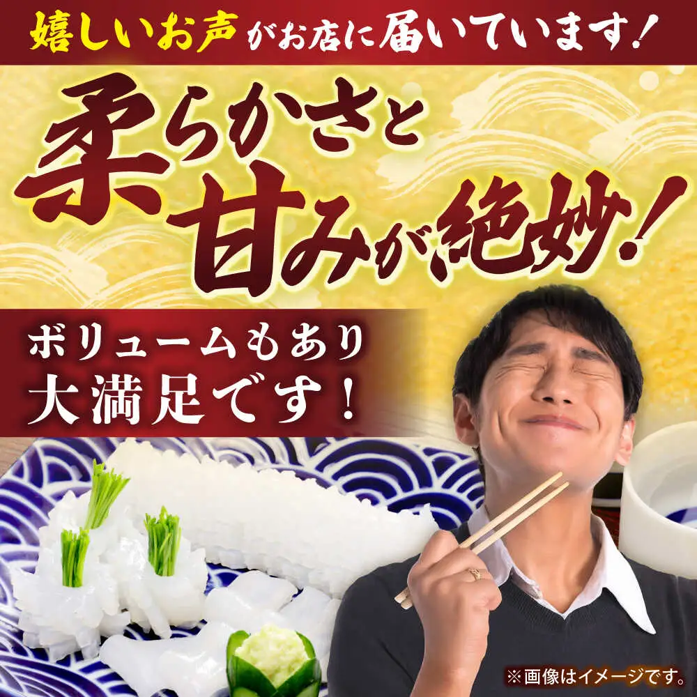 アオリイカ（刺身用） 1kg [JCC020] イカ