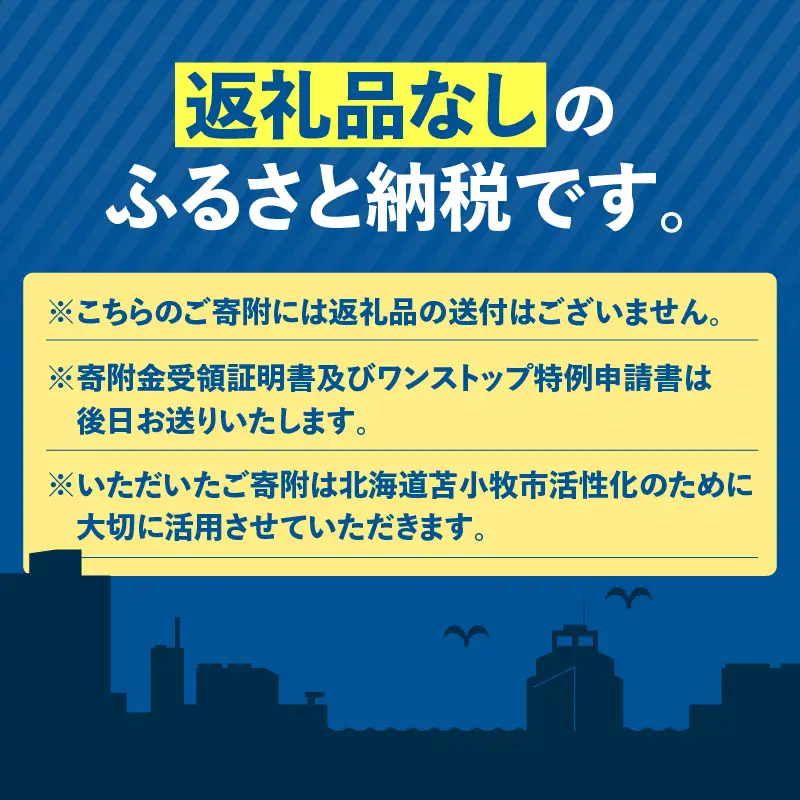 北海道 苫小牧市 応援寄附金 （ 返礼品なし ） 5,000円 T000-001-02 応援 返礼品無