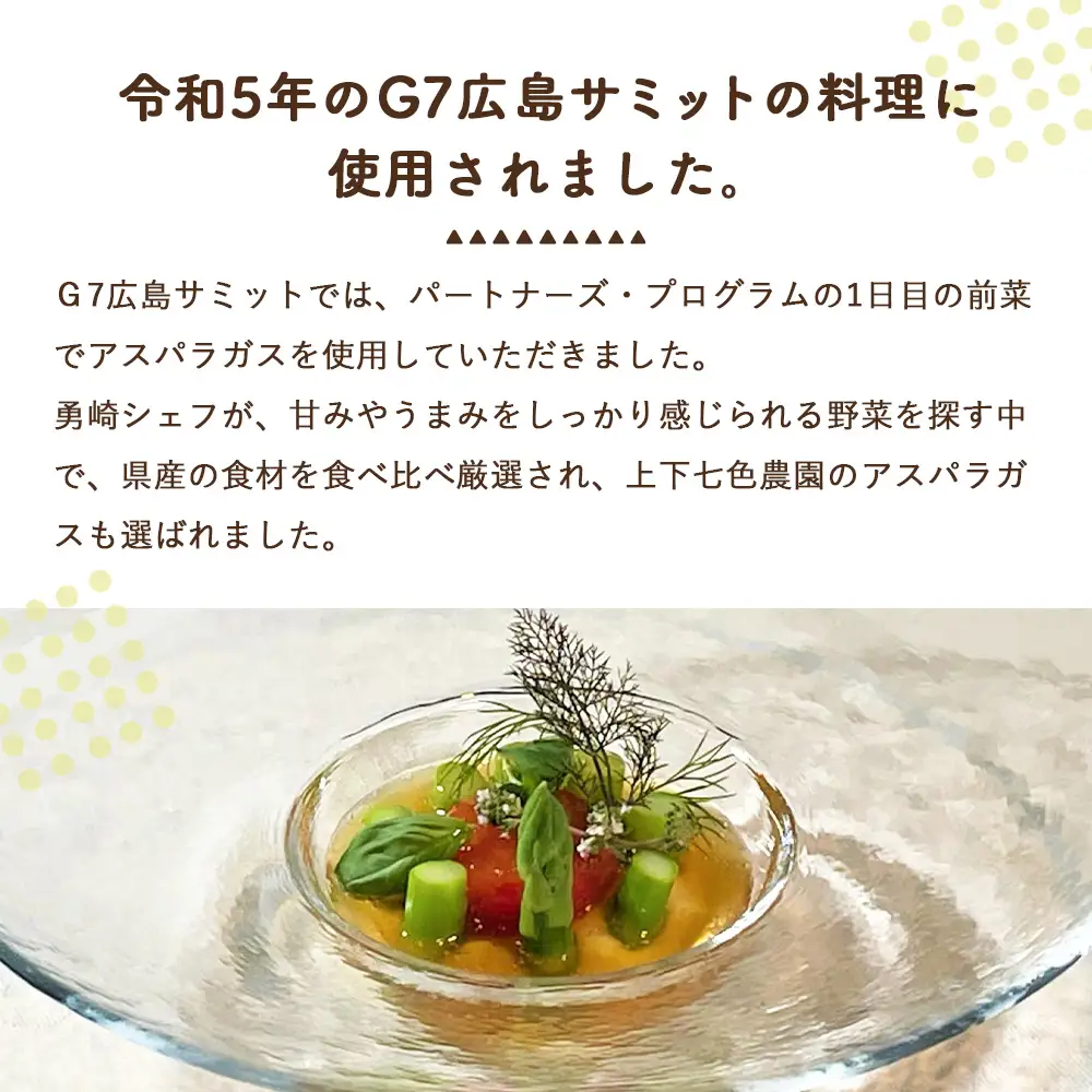 上下七色農園贈答用アスパラガス　2L・Lサイズ　貼箱（600g） No.1093
