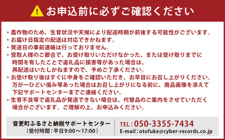 ［先行受付］自慢のカレー野菜セット【A63】【2026年11月上旬～12月下旬発送予定】