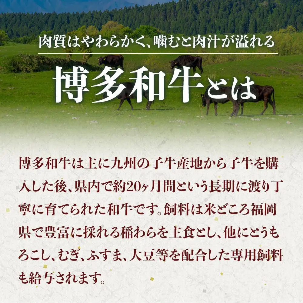 博多和牛A4ランク以上焼肉用タレ漬550g　　　