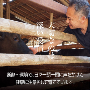 牛肉 京都もり牛 こま切れ 800g 小分け 京都府産 牛肉