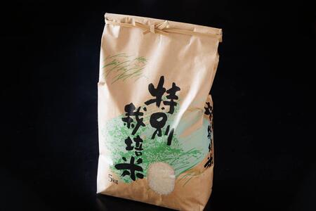 【令和8年度】 料理旅館きぐすりや 特別栽培米 キヌヒカリ 5kg 精米 白米 お米 こめ コメ 減農薬栽培 5 キロ ご飯 ごはん 京都　※9月下旬より順次発送 新米26