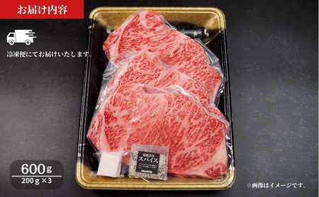サーロインステーキ 牛肉 京の肉 600g ブランド牛 牛肉