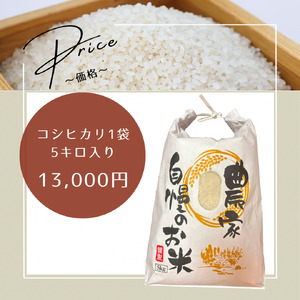 コシヒカリ 5kg 米 お米 京都丹波産 コシヒカリ