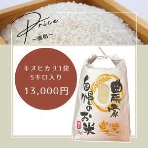 キヌヒカリ 5kg 米 お米 京都丹波産 キヌヒカリ
