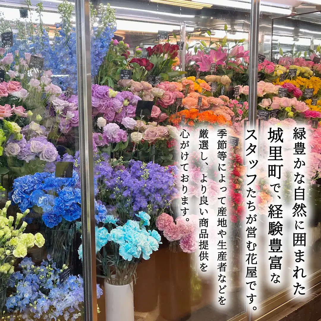 季節の寄せ植え＜花わたひき＞花 お花 季節の花 生花 記念日 誕生日 自宅用 インテリア 部屋飾り 装飾 贈答 ギフトプレゼント おしゃれ 茨城県 城里町 (BY002)