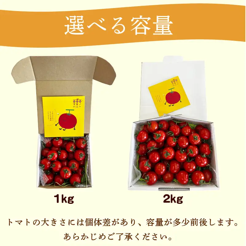 【訳あり】トマト 2kg 中玉 マキノハニー 枝完熟  静岡県 牧之原市 トマトップ