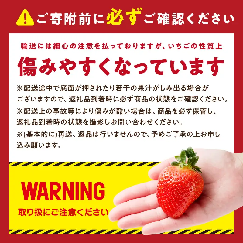 【2027年先行予約】あまおうボリュームセット(6パック)【044-0076】