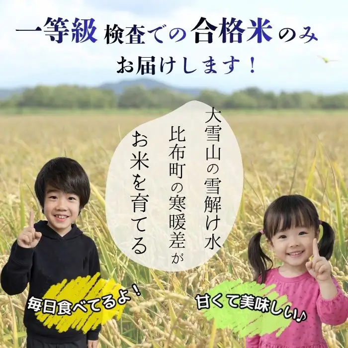令和7年産【農業生産法人ノウリエ】北海道産 ななつぼし 玄米 10kg【10月から11月上旬発送】米 お米 北海道米 特Aランク 国産 コメ 北海道 比布町 ぴっぷ