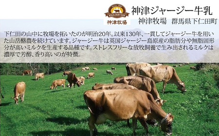 和風アソートセット 4個入（バニラ 2個、有機黒ごま 1個、ほうじ茶 1個） セレンディップ 手土産 おやつ デザート スイーツ こだわり 話題 バニラ 黒ごま ほうじ茶 F21K-502