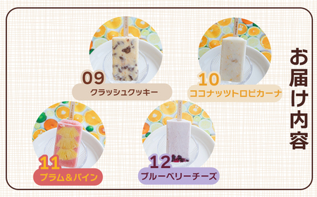 【２回定期便】手作りアイスキャンディー １２本セット 【 アイスキャンディー 定期便 アイスキャンディー 定期便 アイスキャンディー 定期便 アイスキャンディー 定期便 】 Wys-0017