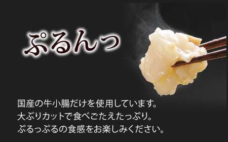 博多もつ鍋やまや もつ鍋セット あごだし醤油味 5-6人前　CS021