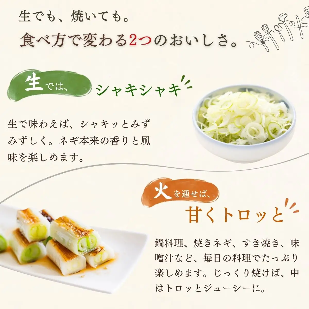 【期間限定】みゆきネギ 2L 20本（約3kg）│めぶく農園
