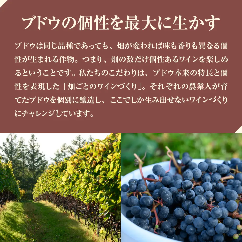 北海道十勝芽室町 清舞【BITO KOICHI】北海道 十勝 芽室町 赤ワイン わいん 果実酒 酒 セット 贈り物 ギフト お祝い 記念日 お歳暮 国産 瓶 お取り寄せ 北海道 十勝 芽室町北海道 十勝 芽室町 me032-065c