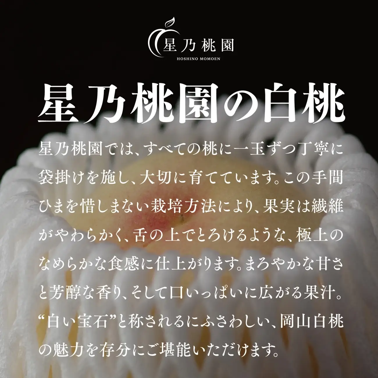 先行受付【星乃白桃】岡山県の桃園からお届けする三つ星の桃 1.2kg (4～5玉)【配送不可地域：離島・北海道・沖縄県】【1614276】