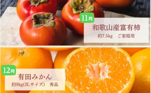 フルーツ 定期便 【全6回】/ 桃 ピオーネ 極早生みかん たねなし柿 富有柿 有田みかん / 和歌山 甘い 果物 【tec-tkb001】