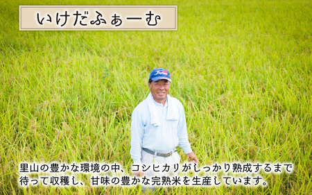 【令和7年産　新米】くらもち完熟米 コシヒカリ 玄米10kg