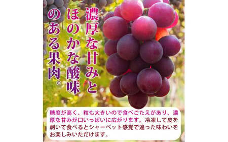 【全4回】紀州和歌山産旬のフルーツ定期便 (スイカ・桃・巨峰・梨) / すいか スイカ もも 桃 白桃 巨峰 葡萄 ぶどう なし 梨 ナシ 洋ナシ 和梨 果物 くだもの フルーツ フルーツ定期便 和歌山【tkb422】 