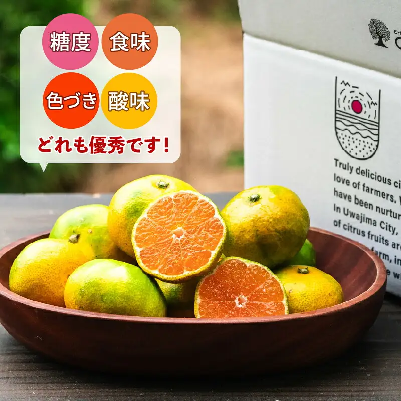 極早生みかん  5kg 日南1号 コルレオファーム 極早生みかん B010-145011