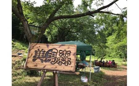 海での乗馬体験 ～ 初心者向け ～ オーシャンライディング  ペア チケット 乗馬 初心者向け 体験 海中乗馬 アクティビティ レジャー 夏休み 旅行 馬 ふれあい ペア八丸牧場  宮城県 東松島市 オンラインワンストップ 申請 自治体マイページ
