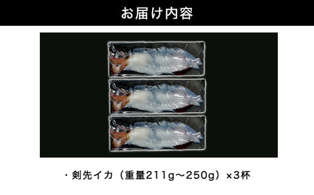 自宅で透明感を再現！須佐男命いかの姿造り（刺身）特殊冷却「3D冷凍」パック ３個