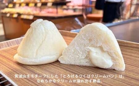 守谷ベーカリーお買物券 10,000円分 | 1,000円×10枚 パン ベーカリー お買物券 券 チケット 茨城県 守谷市