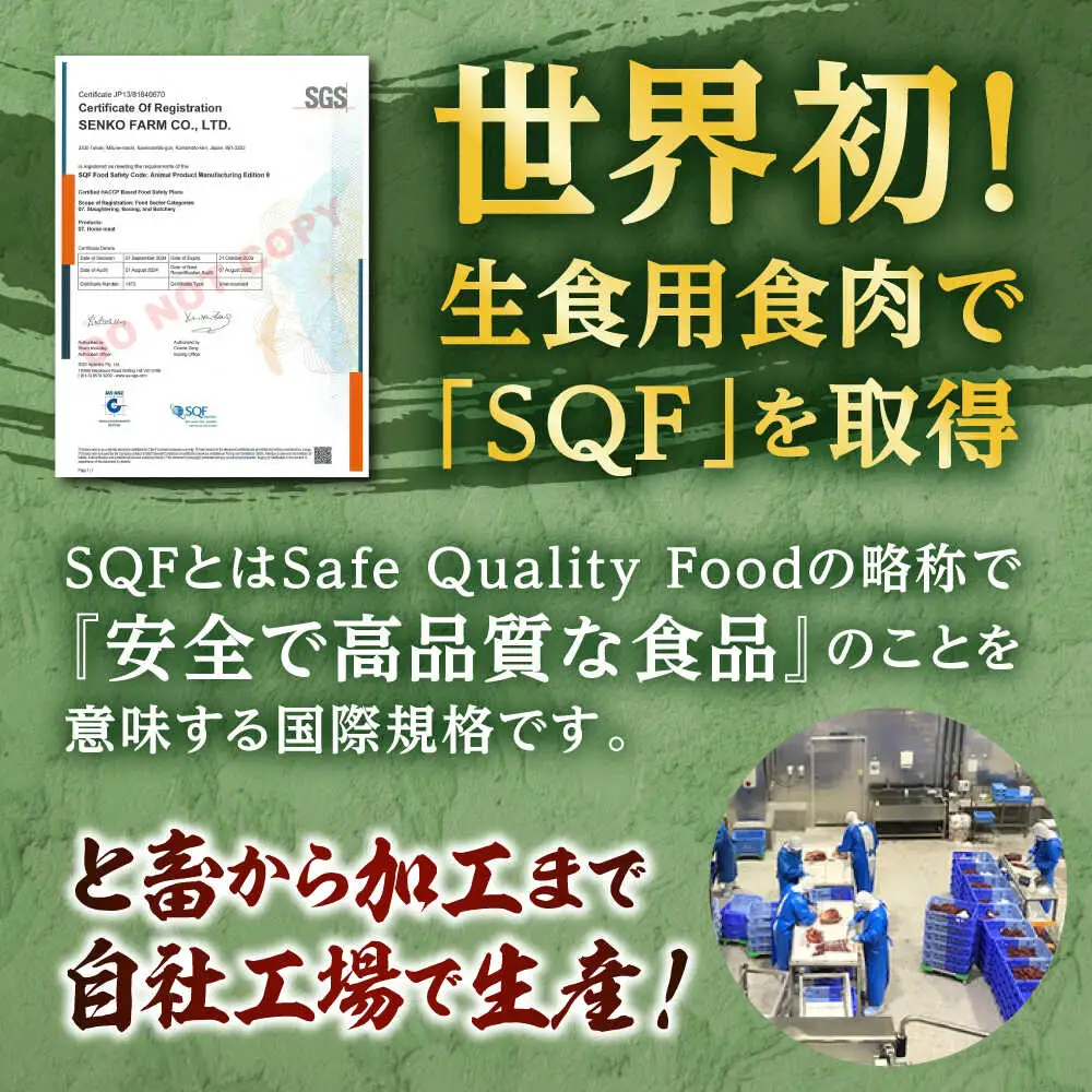 馬肉 ハンバーグ 約130g×16個 計約2.08kg 小分け セット ハンバーグ[AYAF029]
