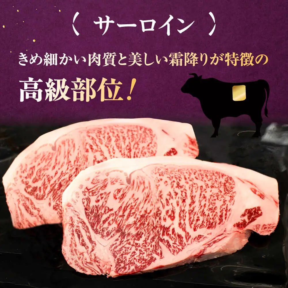 【全12回定期便】博多和牛 サーロイン ステーキ 2枚（計500g） [ADBZ020] 定期便 サーロインステーキ ステーキ肉