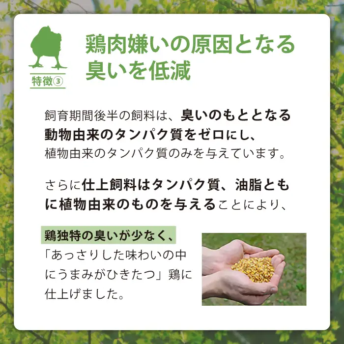 岩手県産 「菜彩鶏」 もも肉・むね肉4kgセット（各1kg×2袋 計4kg） ／ 国産 鶏肉 ブランド 鶏 もも むね 冷凍 チキン とり とりにく モモ ムネ 鶏肉セット鶏もも 鶏むね  鶏肉冷凍 ブランド鶏肉 十文字チキンカンパニー八幡平工場 直送 おすすめ