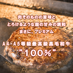 BN128_坂本ストアー佐賀牛お手頃セット（ステーキ・ハンバーグ・切り落とし）
