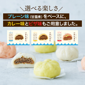 さんまんバラエティセット 3箱 セット (1箱 100g 2つ入り 計6個)  プレーン味 カレー味 ピザ味 さんま