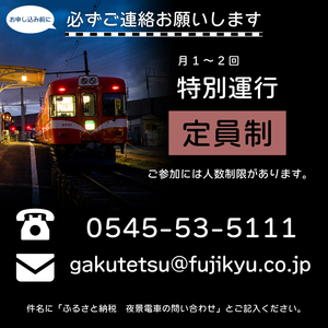 【お申込み前にご連絡を】全駅から「富士山が望める」地方鉄道 ～岳南電車応援事業～J 富士を望む岳南電車の夜景電車体験ツアー券 《2名様》 乗車券 特別運行 工場夜景 景色 富士山 列車 静岡県 富士市 [sf002-428]