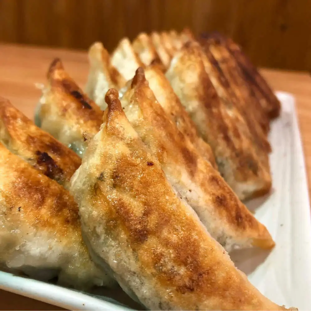 【全3回定期便】【3パック】餃子屋ヒロの ほんのりにんにく餃子 ぎょうざ[BDAS013]