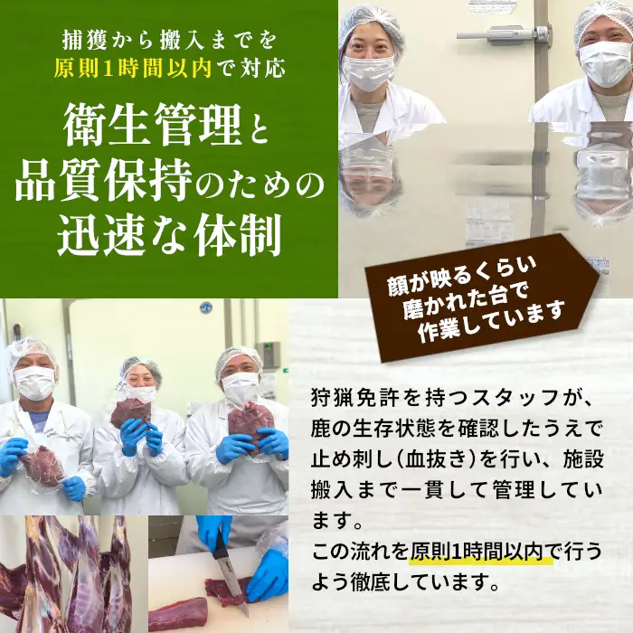 鹿肉 ミンチ 1kg(500g×2) 鹿 シカ肉 ひき肉 挽肉 冷凍 ハンバーグ ジビエ ジビエ料理 ジビエの森 -116
