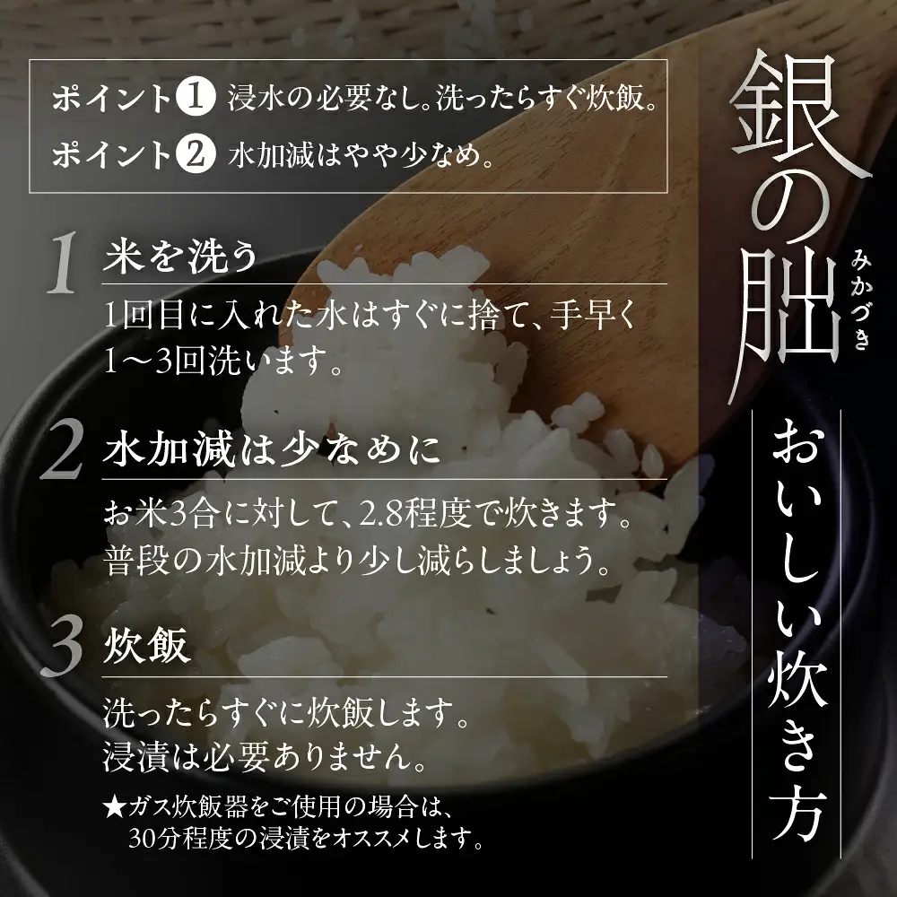 先行予約受付【2026年産米】【2027年6月発送】銀の朏 3kg×1袋 米 ≪テレビで紹介!!幻の米≫【13-32【6】】